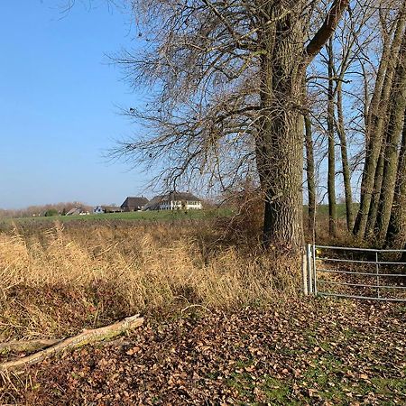 Mooij Bed En Breakfast Kültér fotó